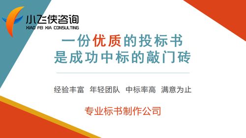 2021衢江區(qū)標(biāo)書代寫公司,可接加急 小飛俠咨詢