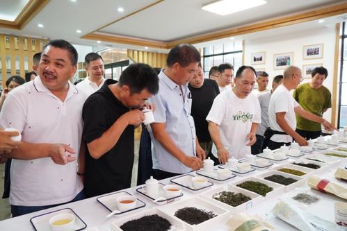 助推兩地增收致富 遂松攜手開展茶產(chǎn)業(yè)技能培訓交流活動